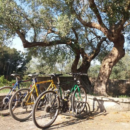 Villa Relax Martina Franca Kültér fotó