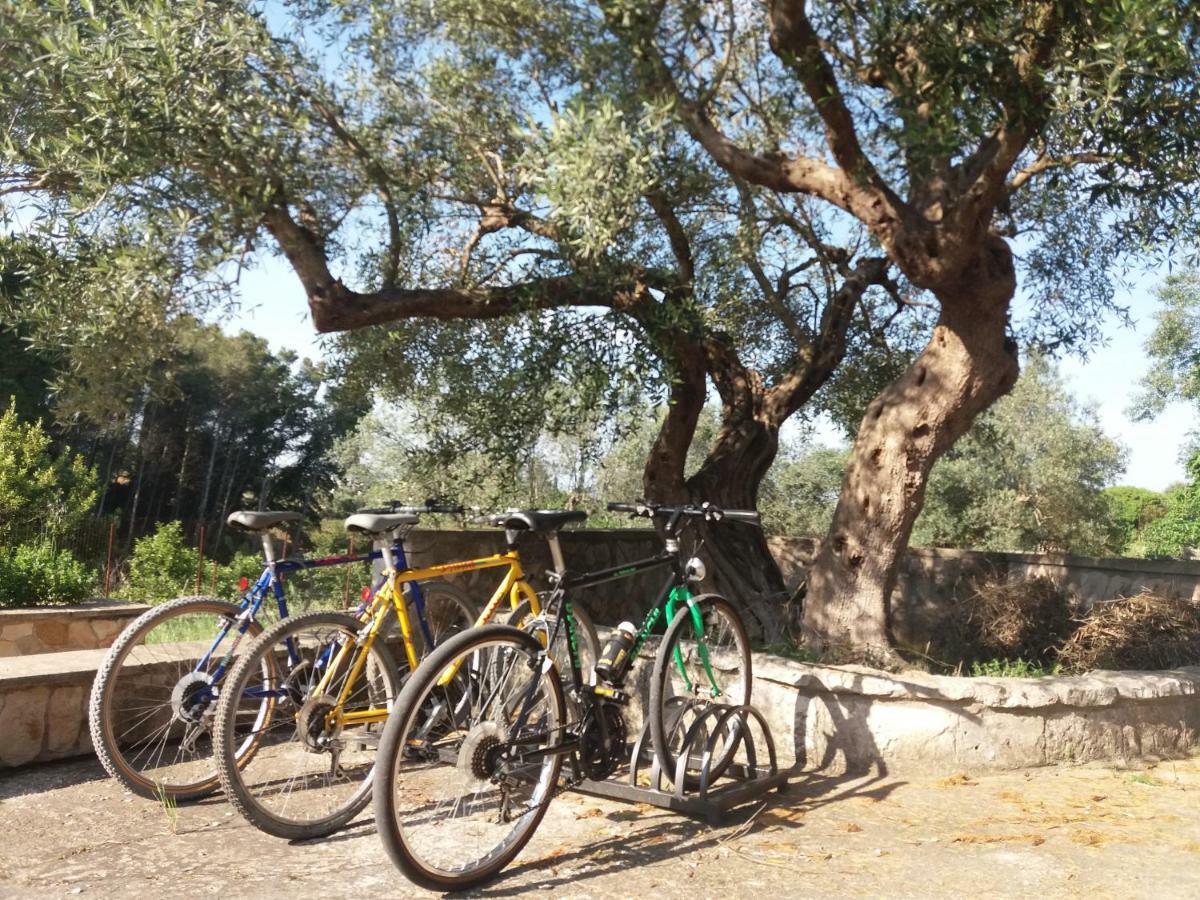 Villa Relax Martina Franca Kültér fotó