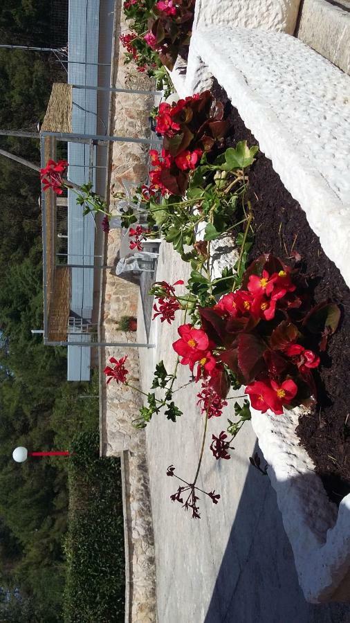 Villa Relax Martina Franca Kültér fotó